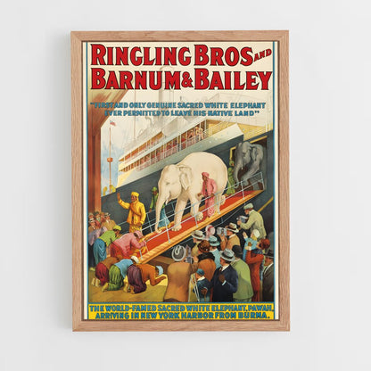 ap-ringling brothers-4 cadre Bois clair