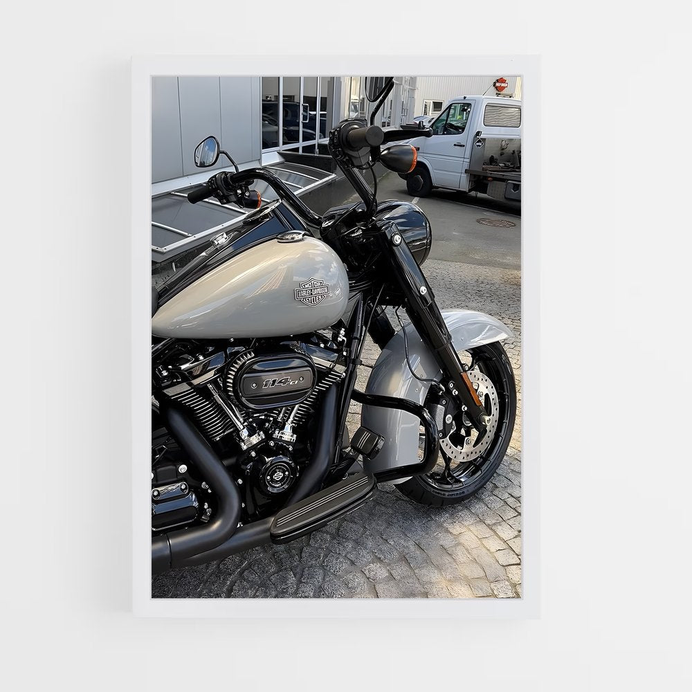 ap-road king special-3 cadre Blanc