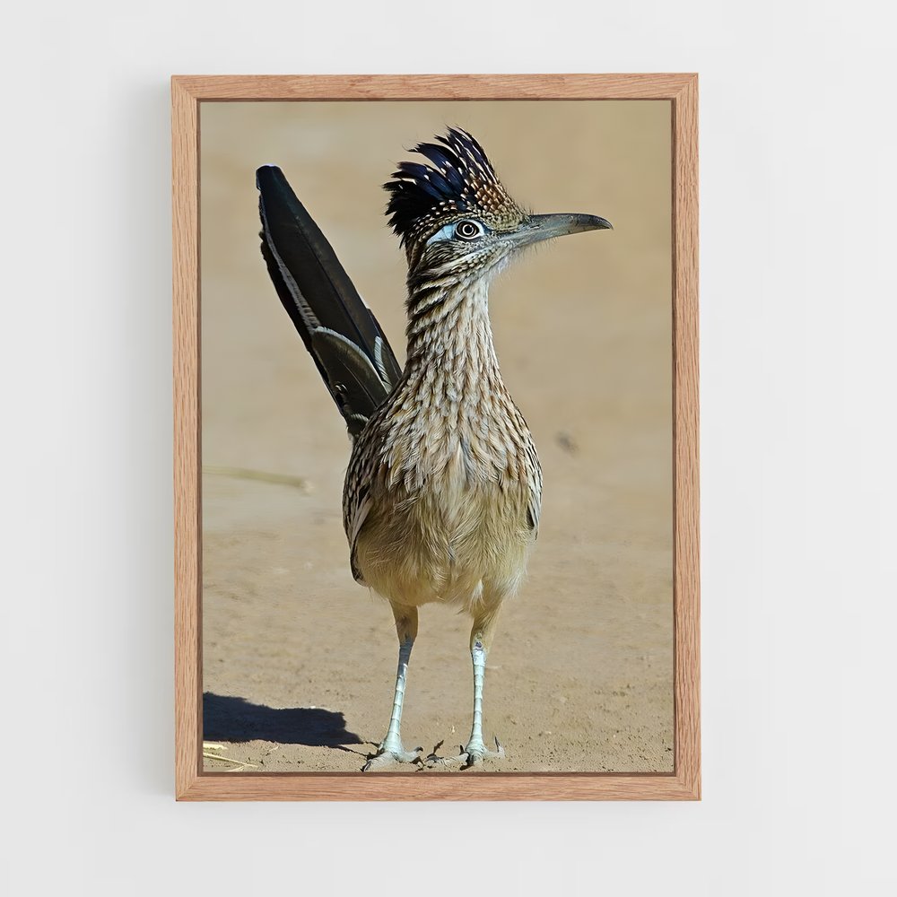 ap-roadrunner-3 cadre Bois clair