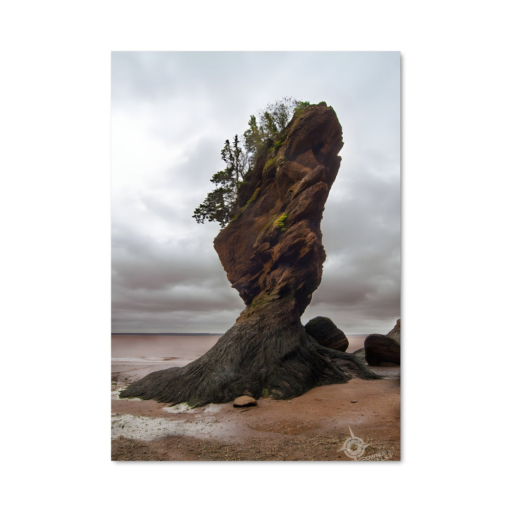 Poster Roots of the Sea