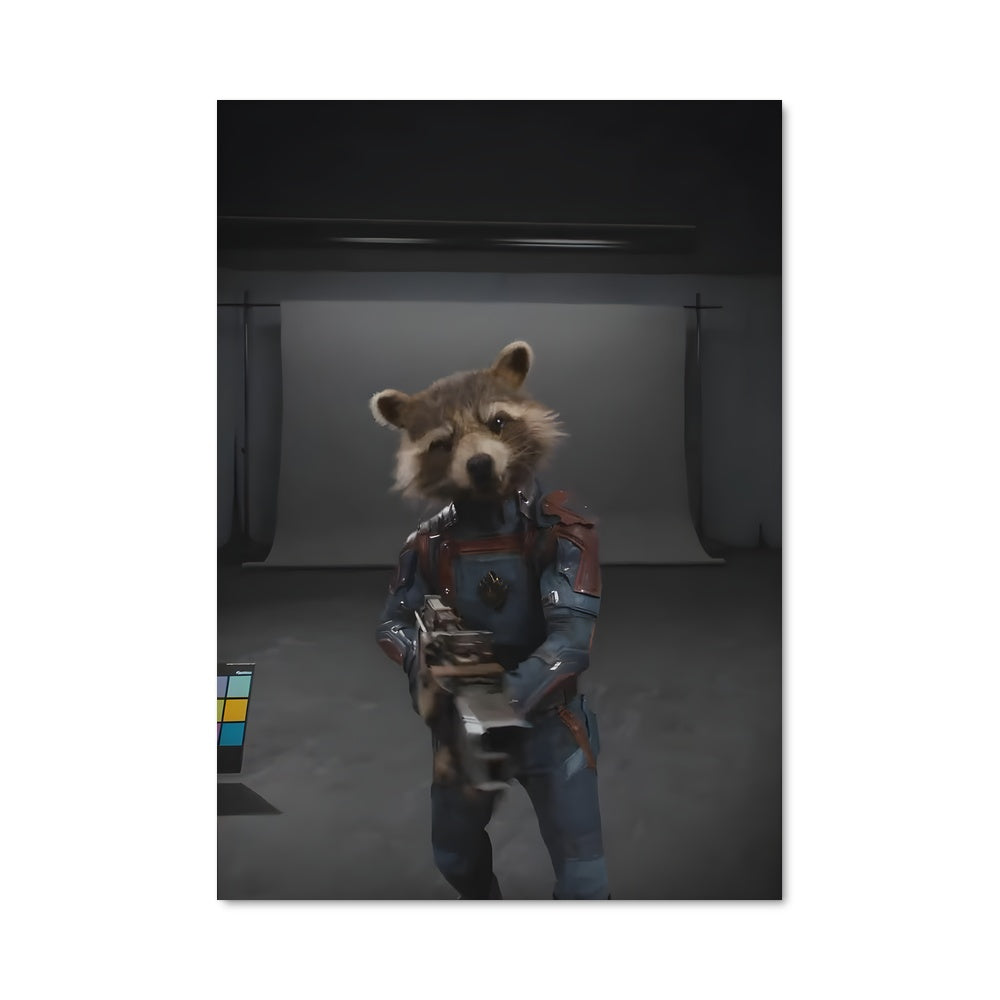Poster Rocket raccoon 40798
