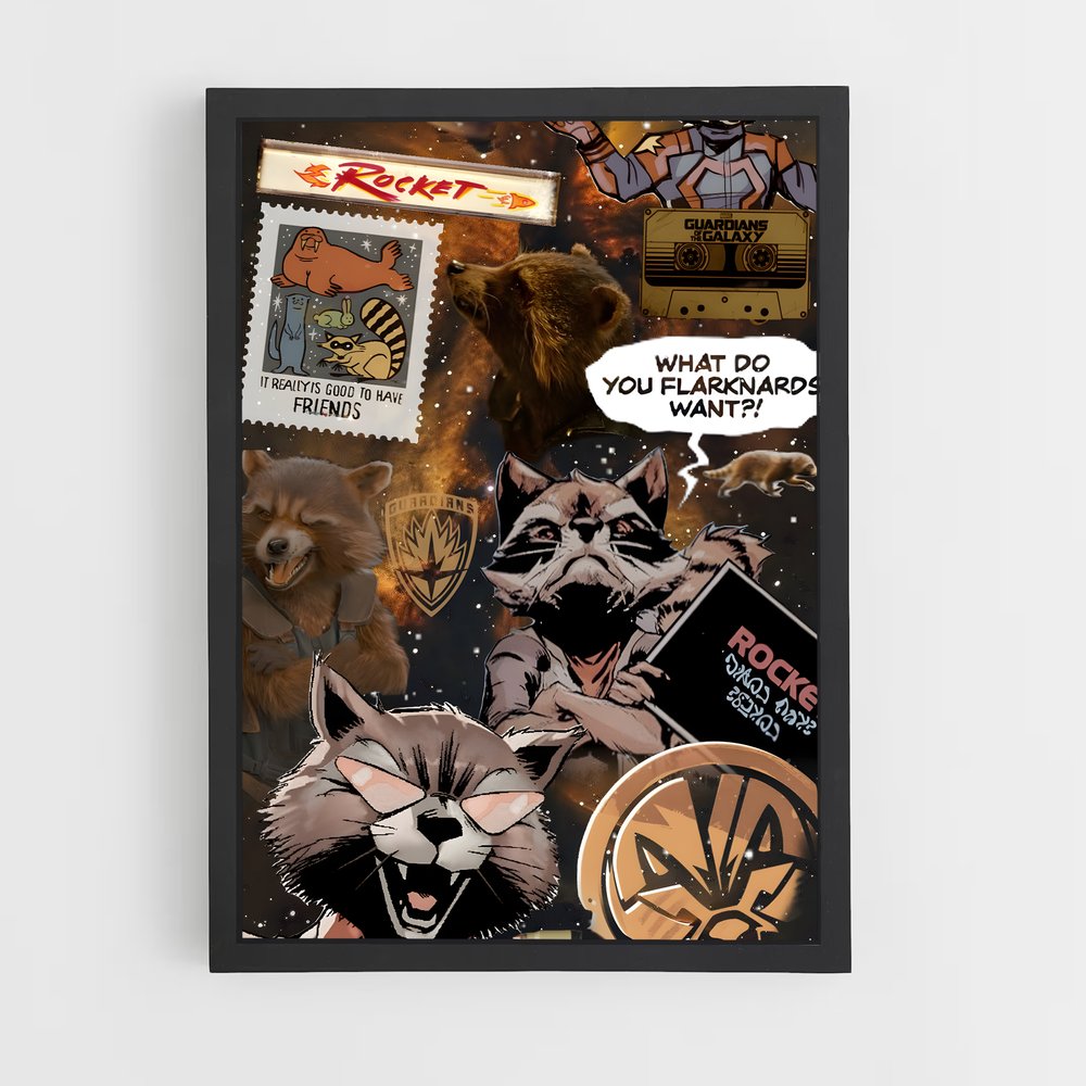 ap-rocket raccoon-2 cadre Noir