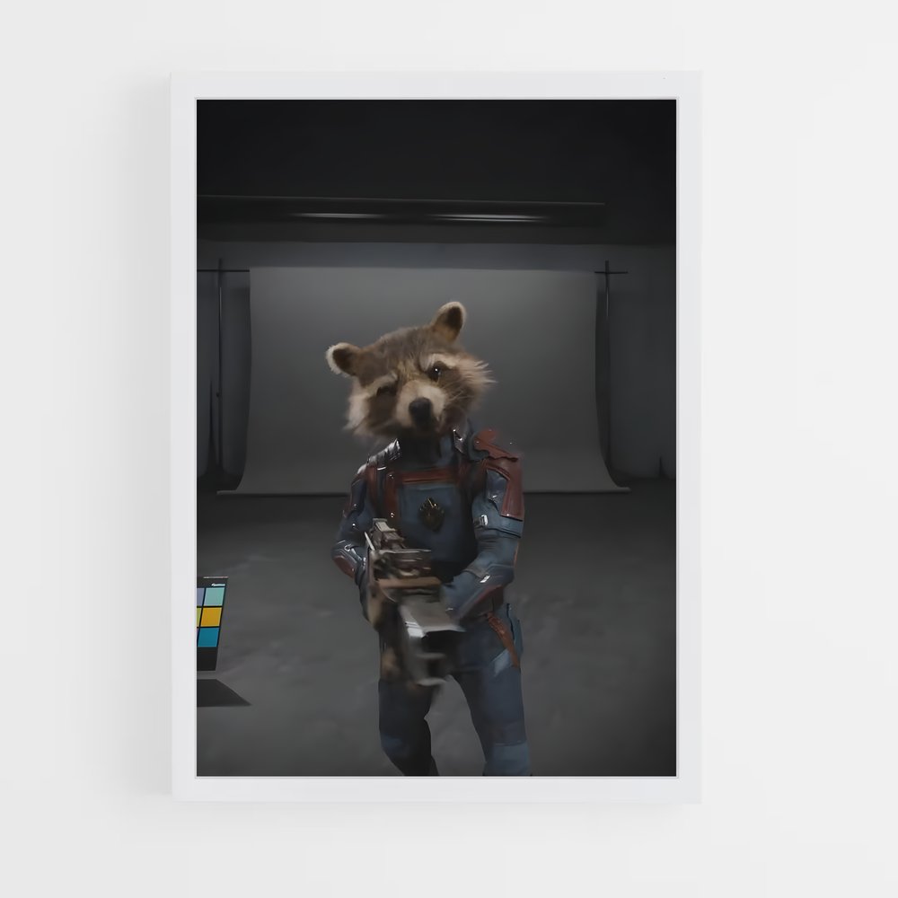 ap-rocket raccoon-6 cadre Blanc