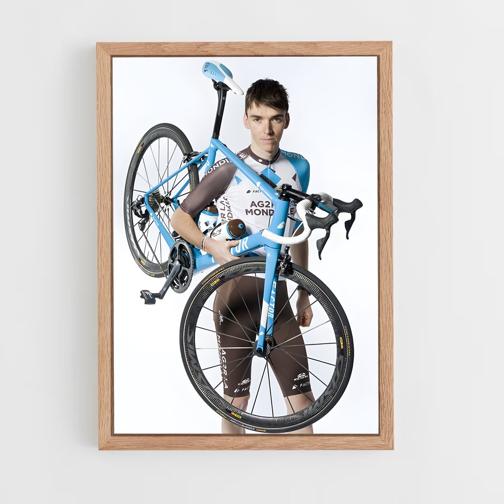 ap-romain bardet-1 cadre Bois clair