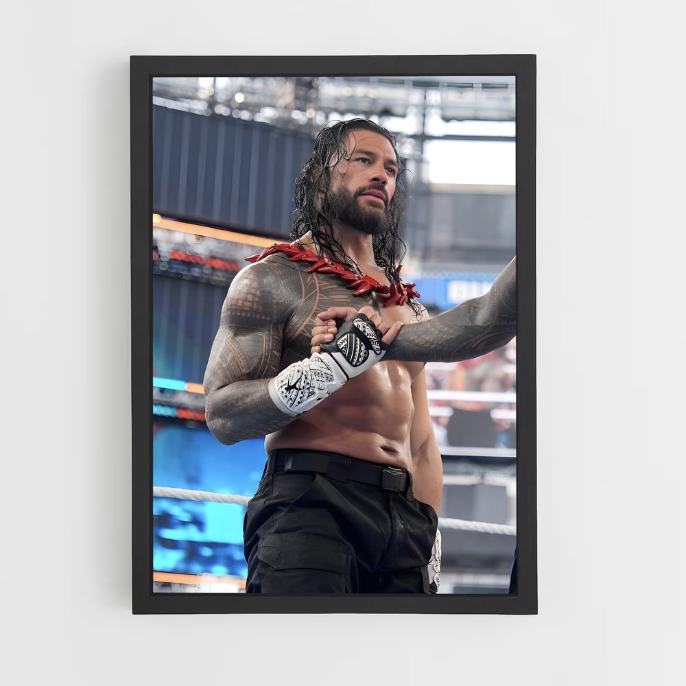 ap-roman reigns-5 cadre Noir