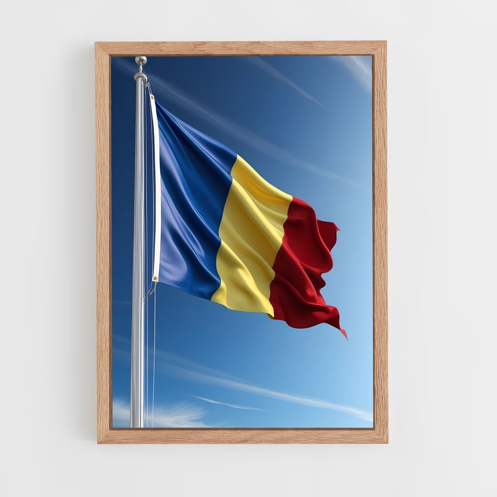 ap-romania flag-2 cadre Bois clair