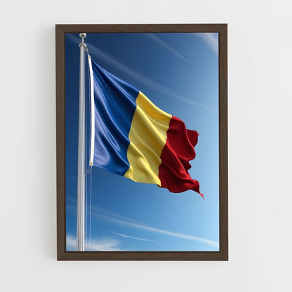 ap-romania flag-2 cadre Bois foncé