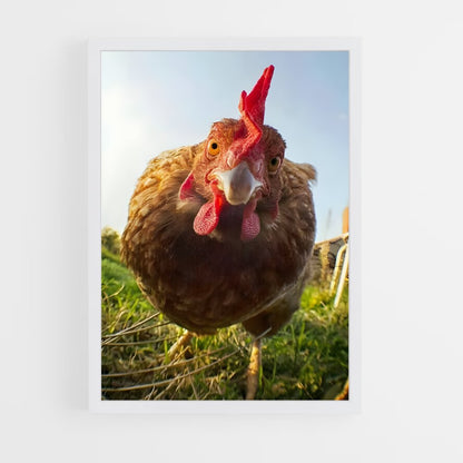 ap-rooster-3 cadre Blanc