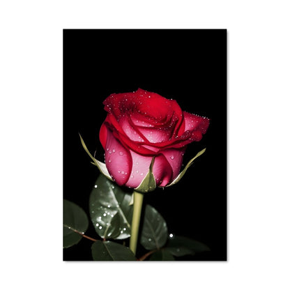 Poster Éclat de Rosée