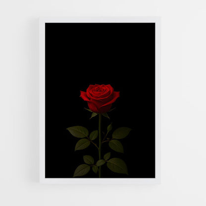 ap-rose-20 cadre Blanc