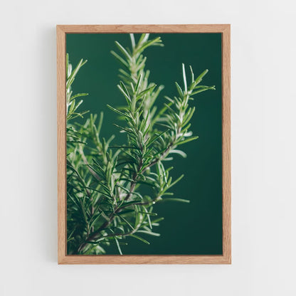 ap-rosemary-1 cadre Bois clair