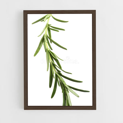 ap-rosemary-5 cadre Bois foncé