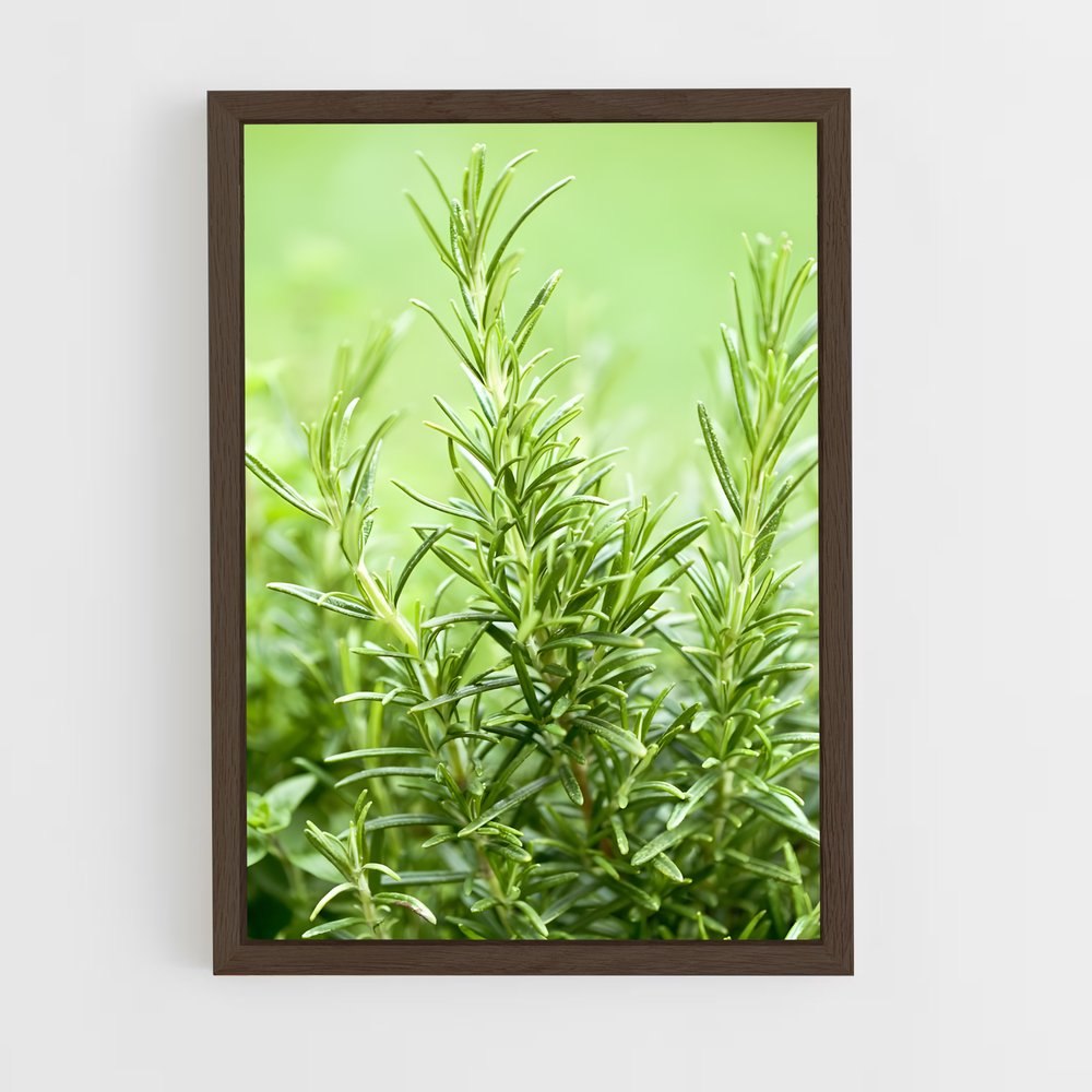 ap-rosemary-9 cadre Bois foncé