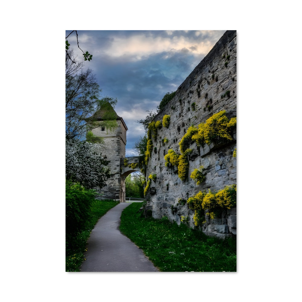 Poster Chemin vers le Château