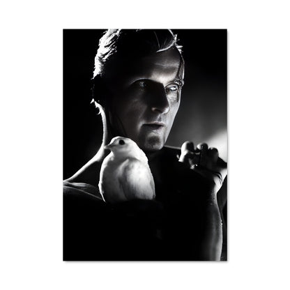 Poster L'Envol de Roy