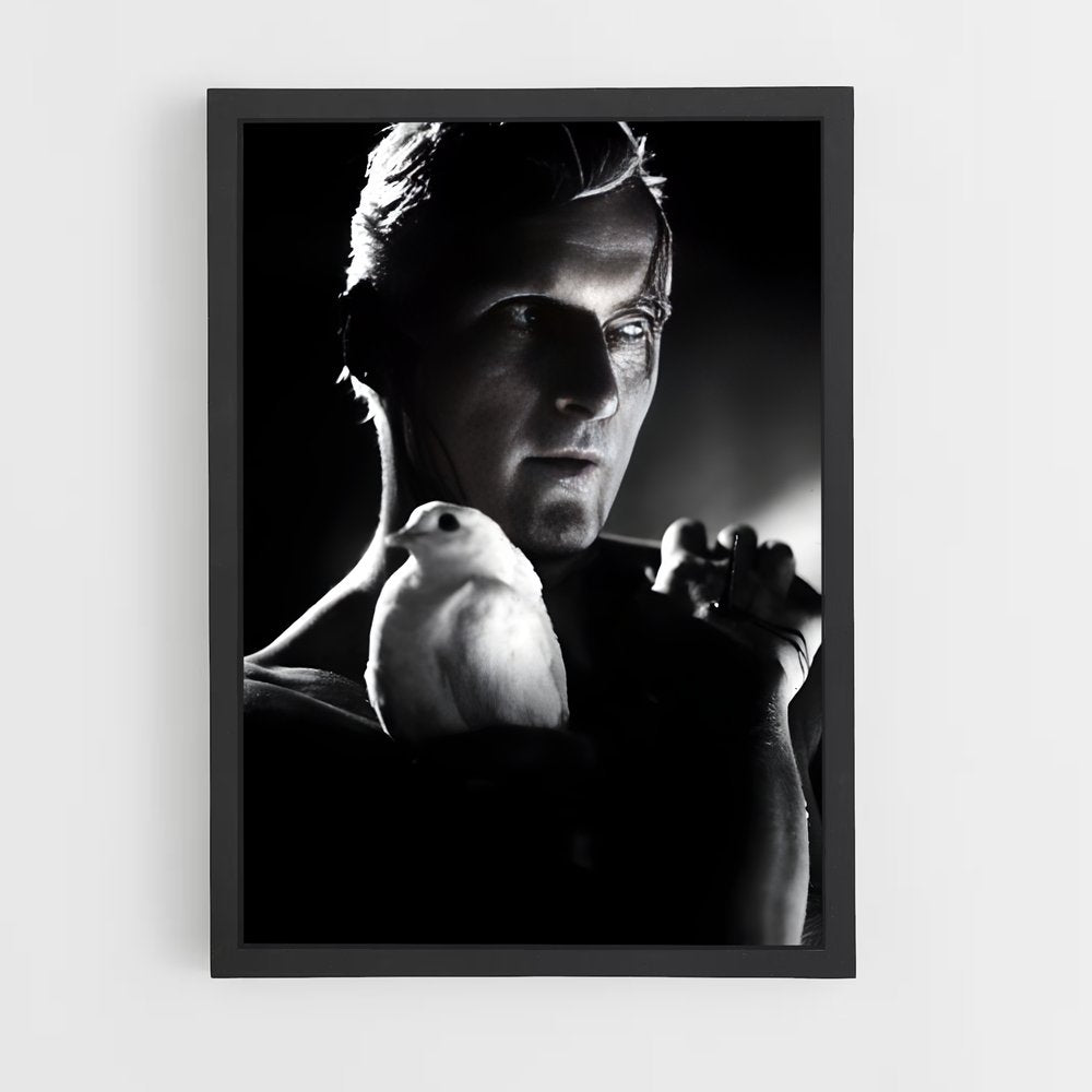 ap-roy batty-3 cadre Noir