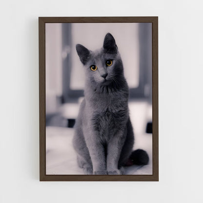 ap-russian blue-1 cadre Bois foncé