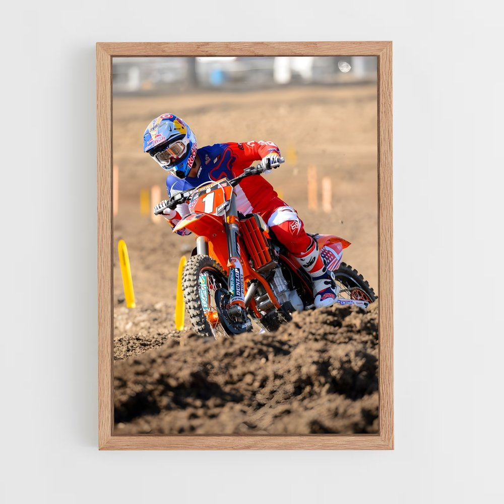 ap-ryan dungey-4 cadre Bois clair