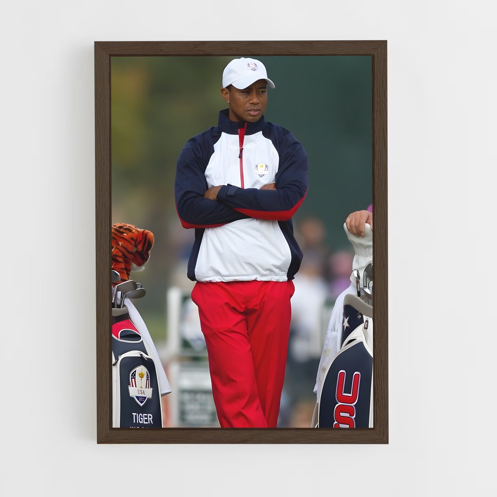 ap-ryder cup-5 cadre Bois foncé