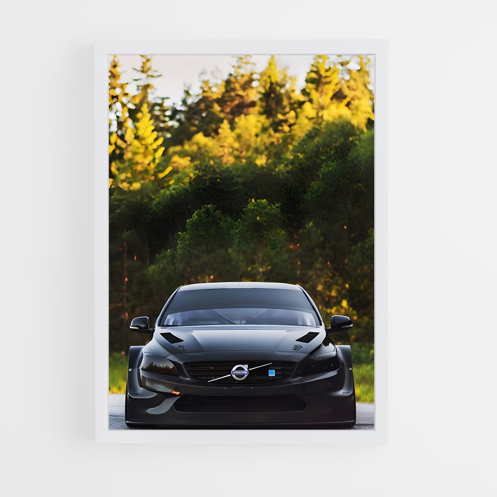 ap-s60 polestar-1 cadre Blanc