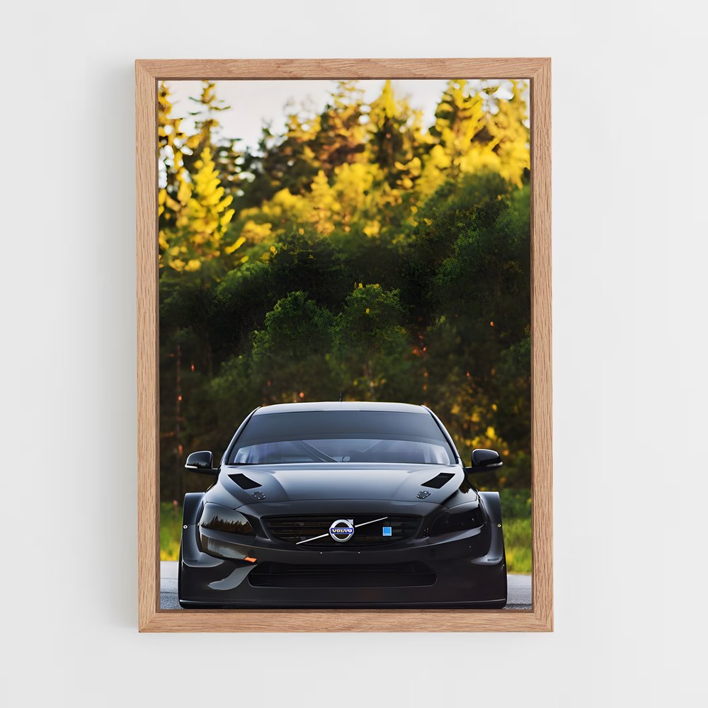 ap-s60 polestar-1 cadre Bois clair