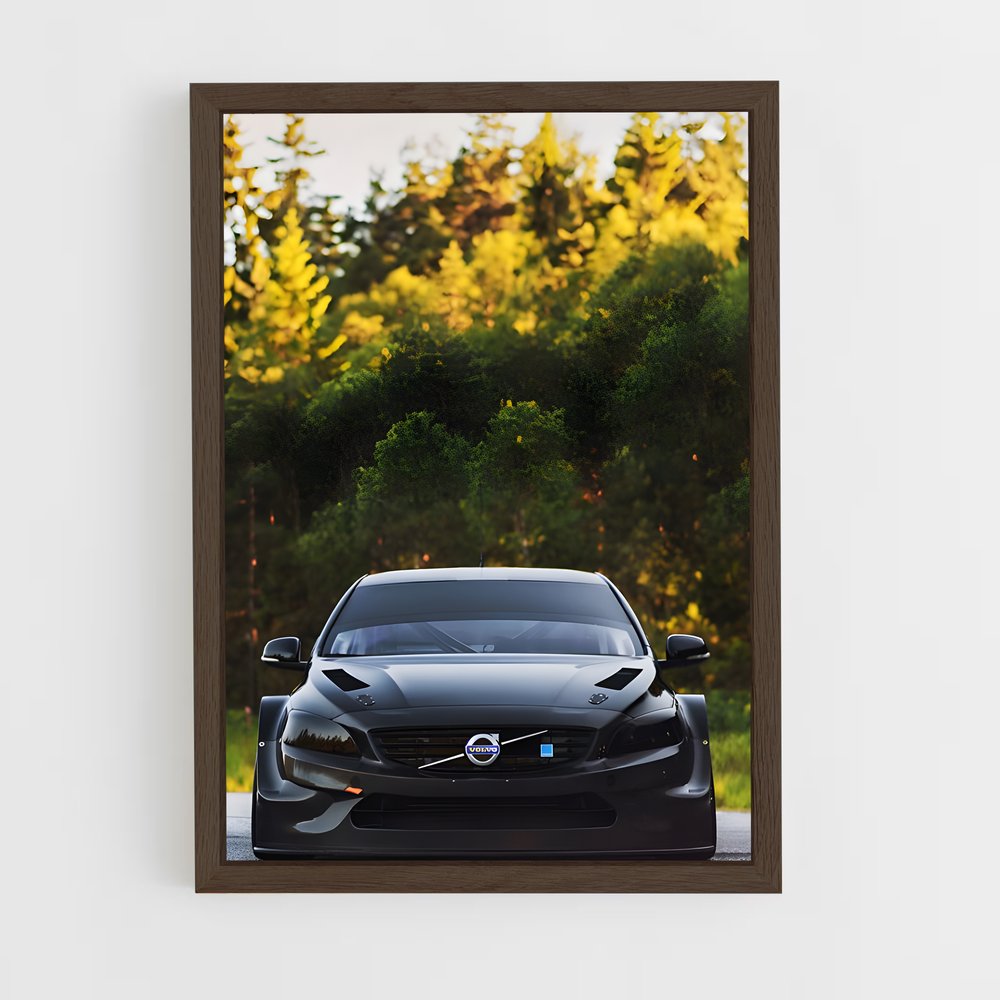 ap-s60 polestar-1 cadre Bois foncé