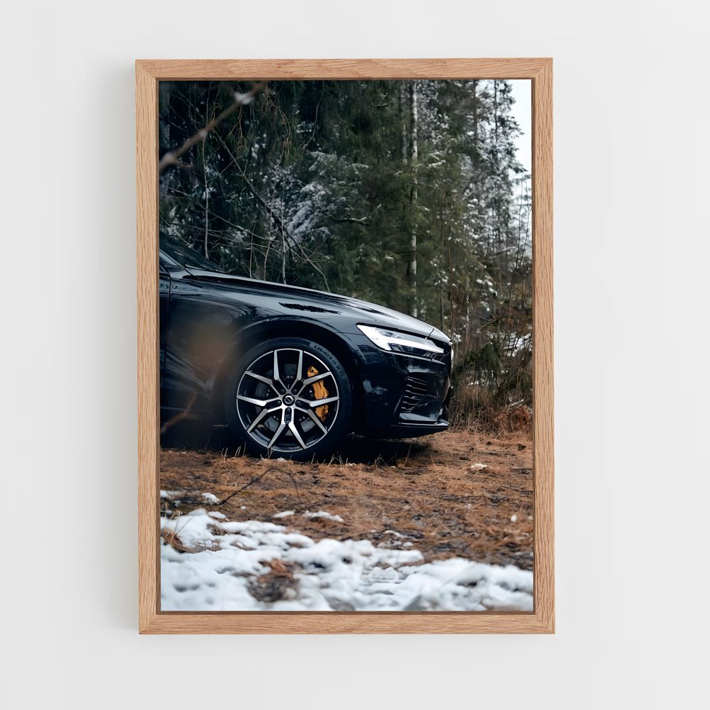 ap-s60 polestar-2 cadre Bois clair