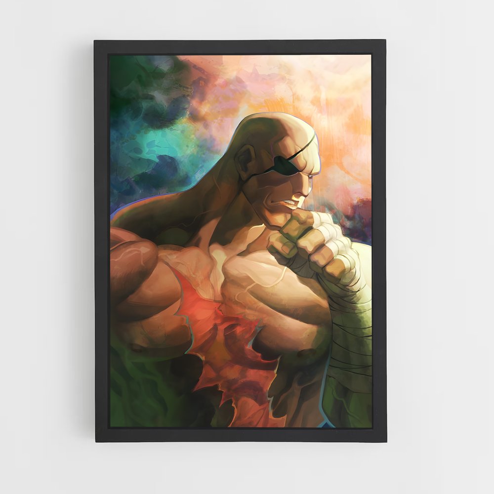 ap-sagat-5 cadre Noir