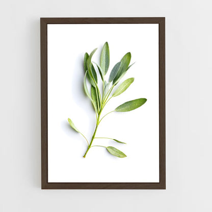 ap-sage-10 cadre Bois foncé