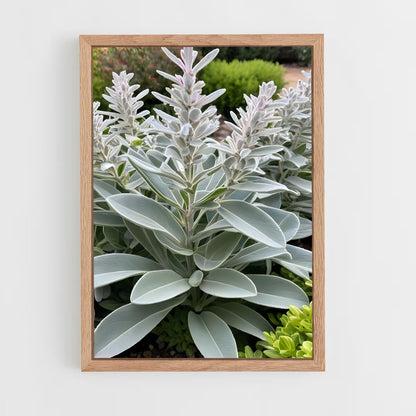 ap-sage-11 cadre Bois clair