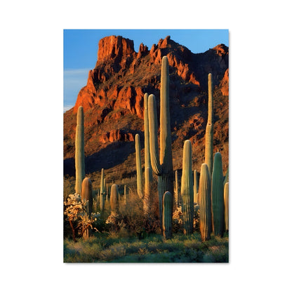 Poster Saguaro Dreamscape