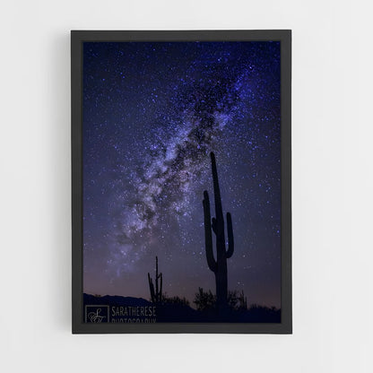 ap-saguaro-2 cadre Noir