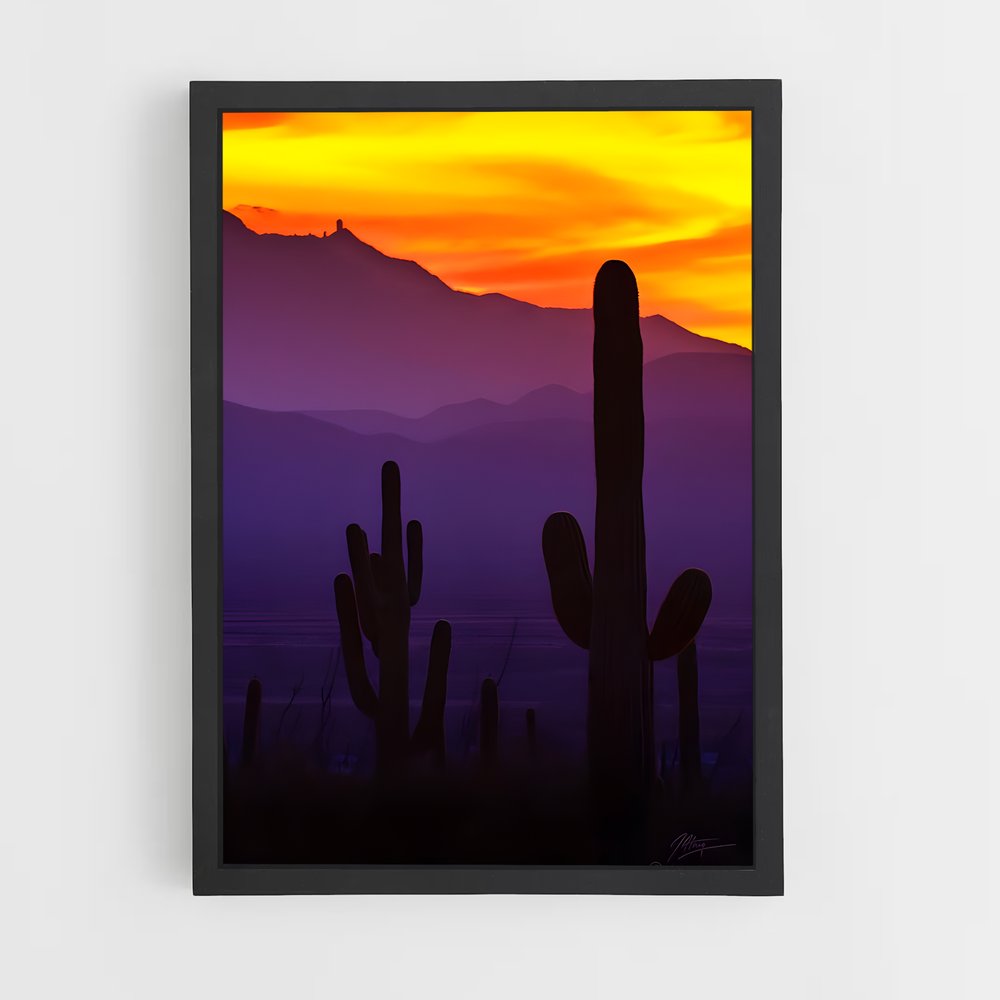 ap-saguaro-4 cadre Noir