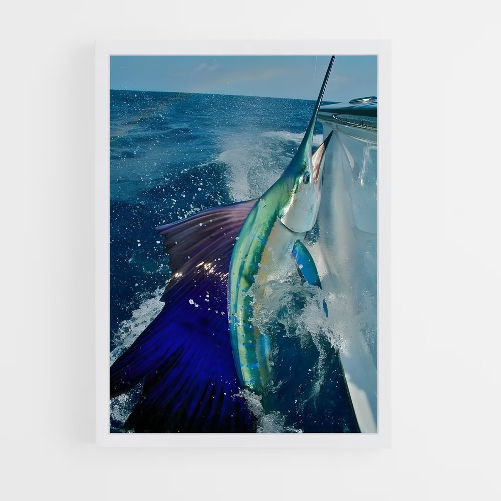 ap-sailfish-2 cadre Blanc