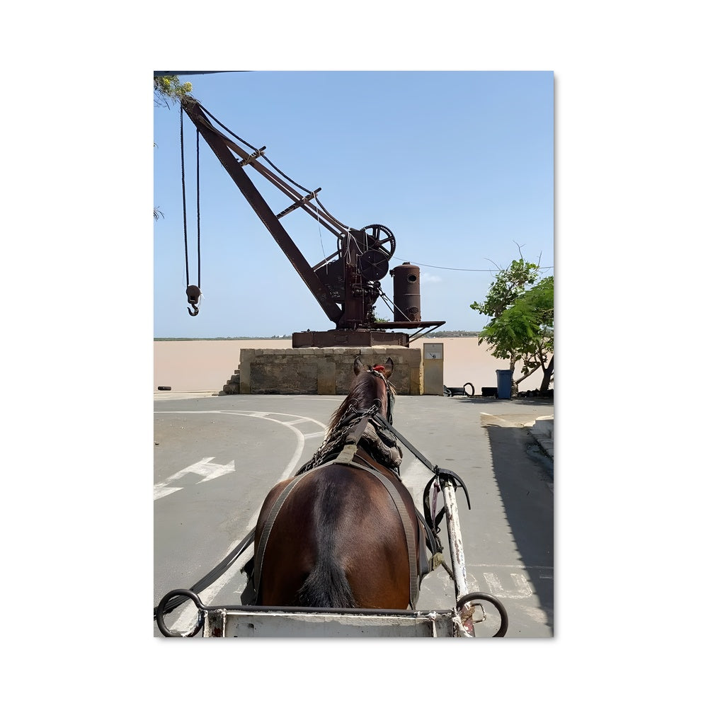 Poster La Charrue de Saint-Louis