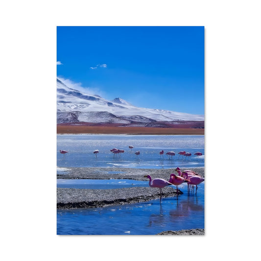 Poster Flamboyants des Altiplanos