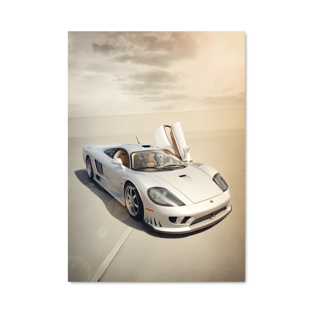 Poster Saleen 79555