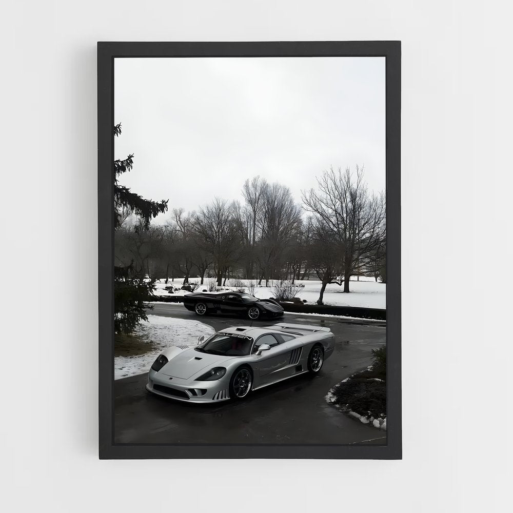 ap-saleen-3 cadre Noir
