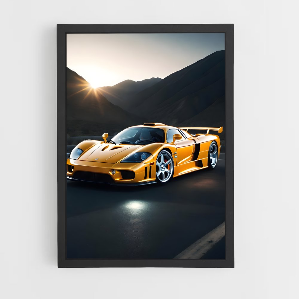 ap-saleen-4 cadre Noir
