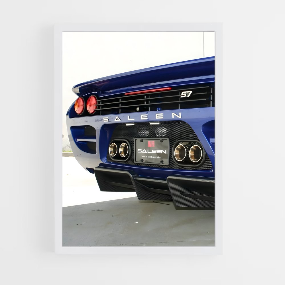 ap-saleen-5 cadre Blanc