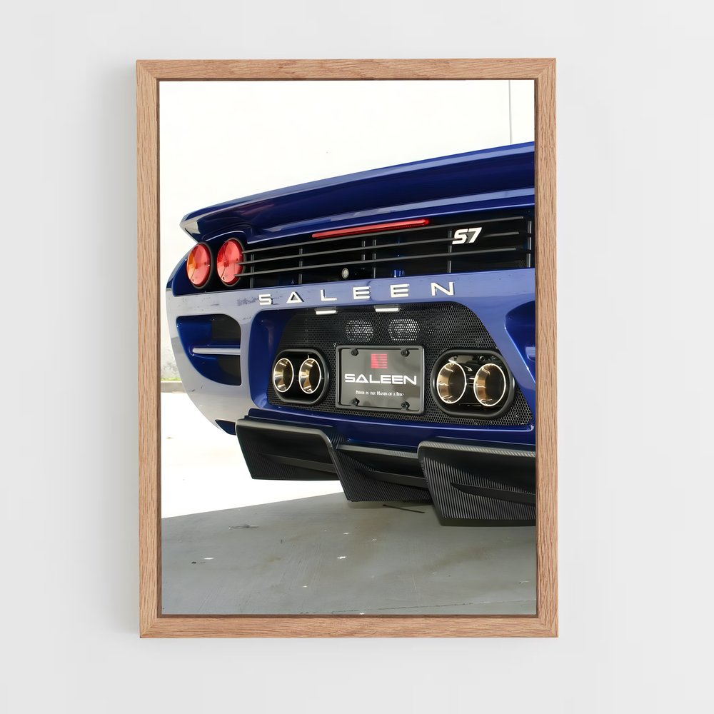 ap-saleen-5 cadre Bois clair