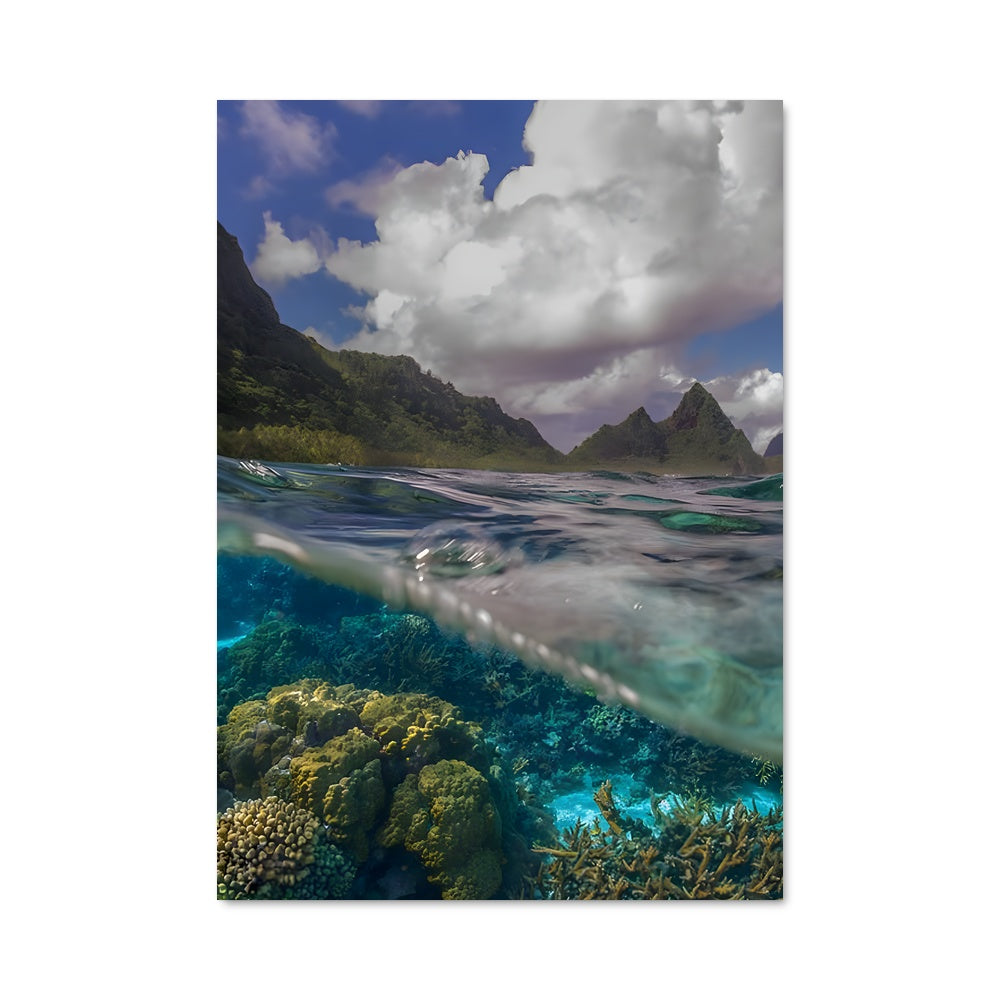 Poster Reef Serenity