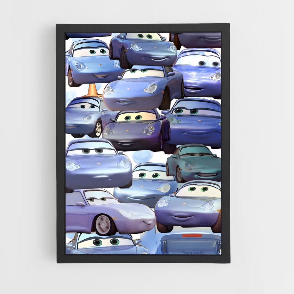 ap-sally carrera-2 cadre Noir