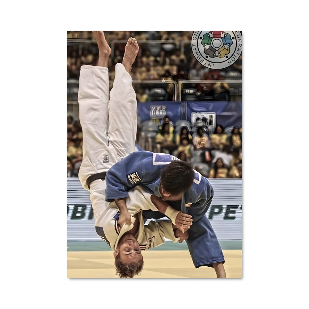Poster Sambo Acrobatique