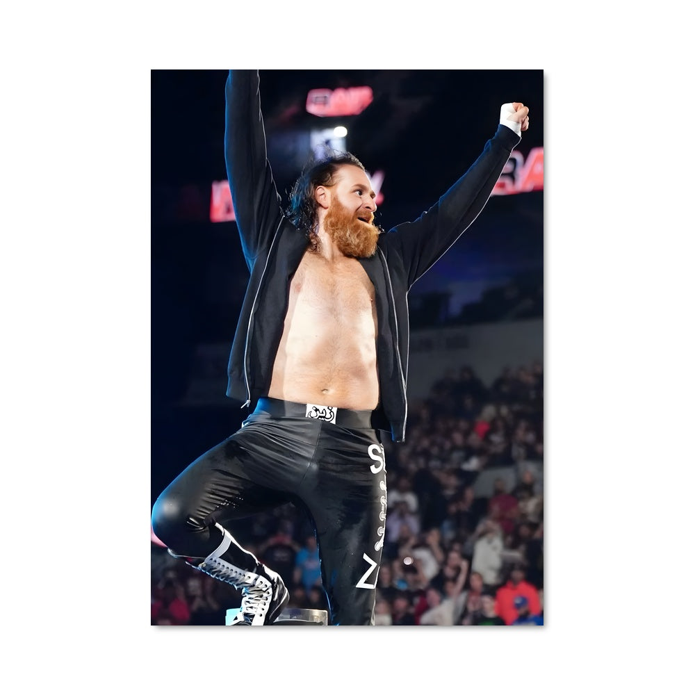 Poster High Flyer Sami