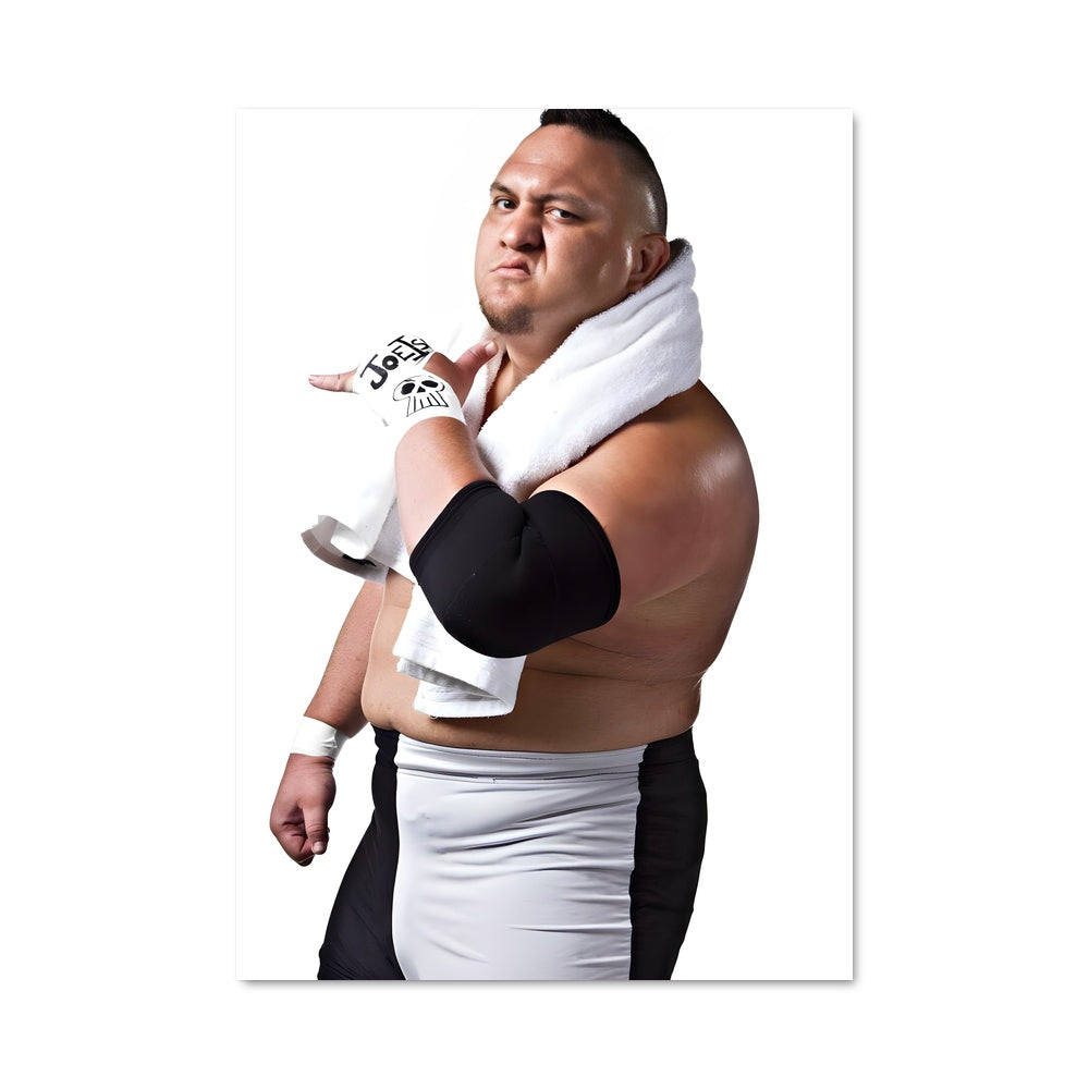 Poster Samoa Joe en Action
