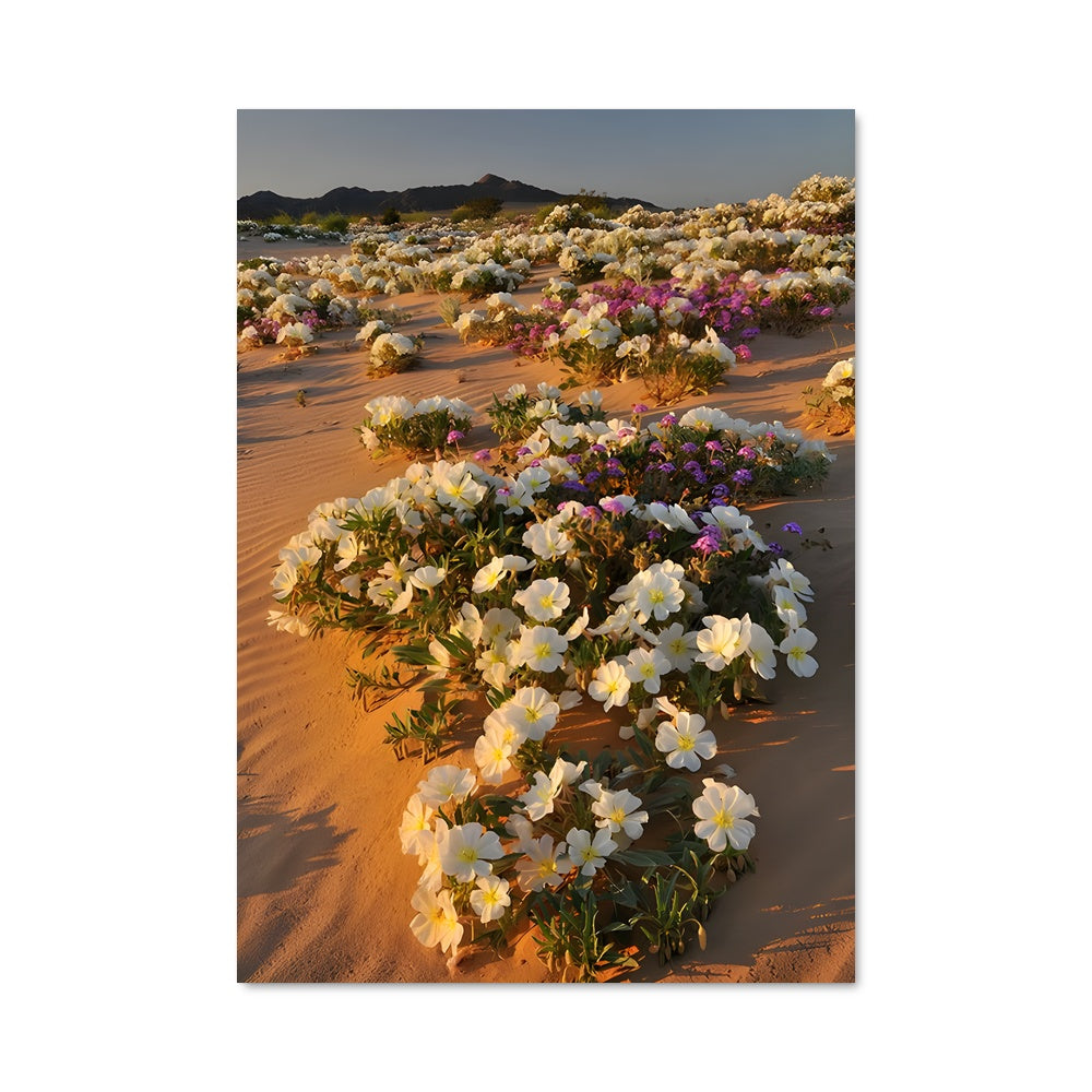 Poster Oasis de Fleurs