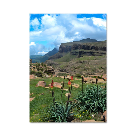 Poster Montagne Fleurie