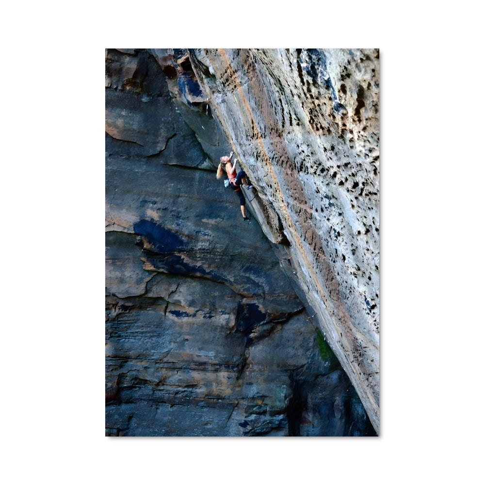 Poster Sasha digulian 63031