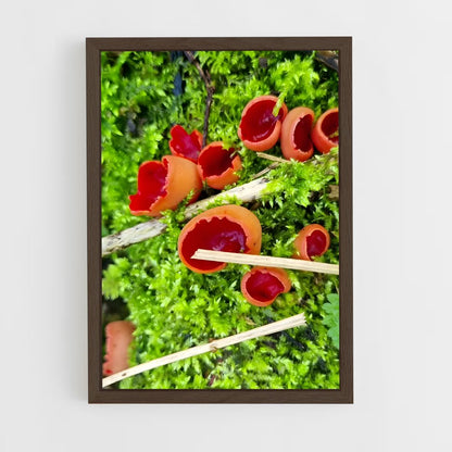 ap-scarlet elf cup-1 cadre Bois foncé